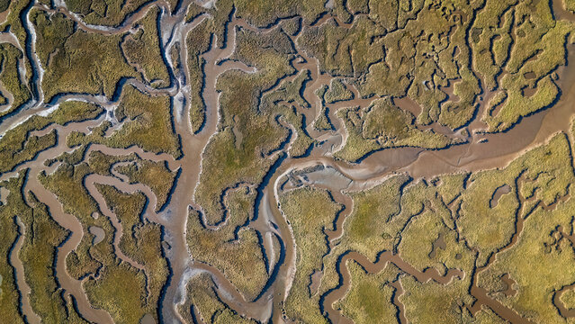 Aerial view of unusual salt flats and wetlands with intricate patterns and textures in the River Tyne Estuary, Dunbar, Scotland, United Kingdom.
