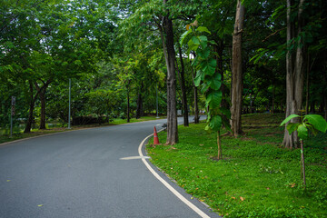 Walk way in city green public park nature pathway