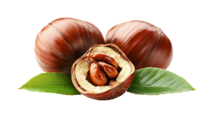 Autumn chestnuts nutritious delights from nature's bounty isolated on transparent background png