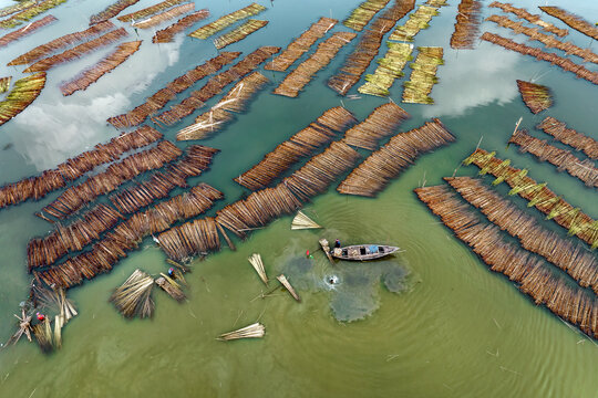 Aerial view of jute retting with traditional wooden boats on clear water, Piprul, Natore, Rajshahi, Bangladesh.