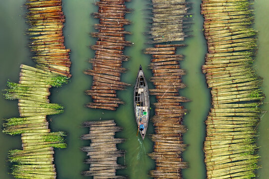 Aerial view of jute retting with traditional wooden boats and people along the clear river, Piprul, Natore, Rajshahi, Bangladesh.