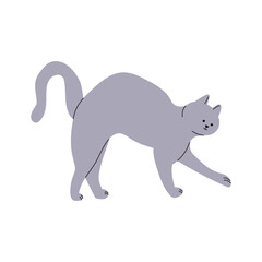 Flat Cartoon Grey Cat