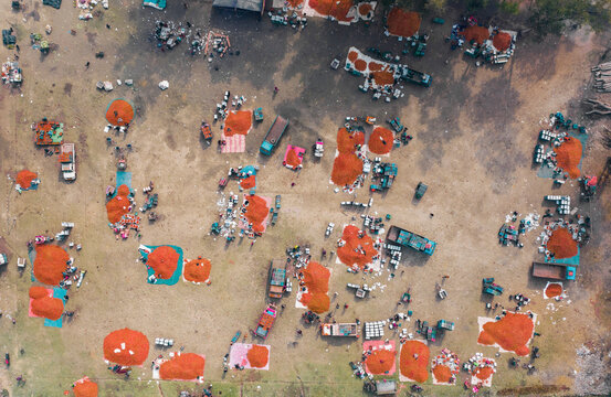 Aerial view of vibrant wholesale tomato market with colorful stalls and bustling vendors, Chaukibari, Dhunat, Rajshahi, Bangladesh.