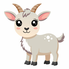 cute kid goat 