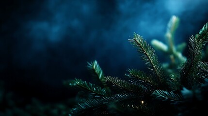 Enigmatic Evergreen Dark Blue Forest Mystique.