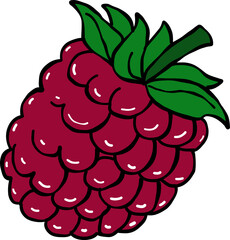 raspberry hand drawn cartoon style drawing,
