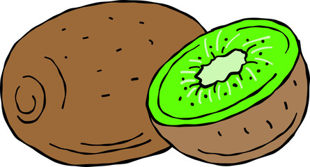 Kiwi fruit cut in half. hand-drawn cartoon-style drawing of kiwi fruit.