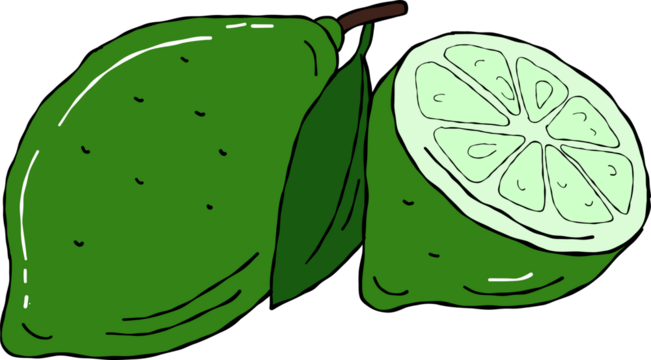 Fresh lime hand drawn cartoon style.