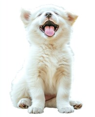 Obraz premium Happy puppy sitting, outdoors background, pet adoption