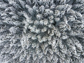 Aerial view of a serene snowy forest with beautiful treetops, Schwabhausen bei Landsberg, Bavaria, Germany.