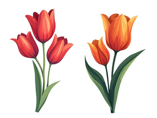 Fototapeta premium Vibrant decorative tulip clipart artwork floral design nature theme colorful environment artistic viewpoint