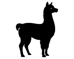 Alpaca Silhouette Vector Design, Alpaca SVG, Alpaca Icon