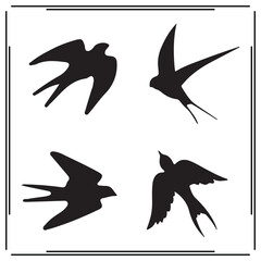 Swallow silhouette, Swallow illustration , Swallow clipart, Swallow vector , Swallow icon , black Swallow, Swallow illustration on white background,