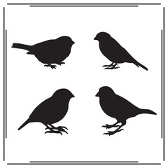 Sparrow silhouette, Sparrow illustration , Sparrow clipart, Sparrow vector , Sparrow icon , black Sparrow , Sparrow illustration on white background,