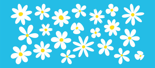 Cartoon flower daisy icon, spring chamomile set, cute baby camomile, white groovy character, fun plant, comic floral doodle on blue background. Funky blossom head. Simple vector illustration