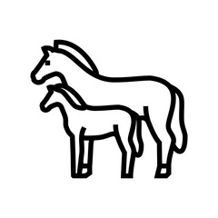 foal horse breeding line icon vector illustration