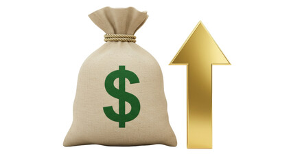 Isolated money bag with arrow up