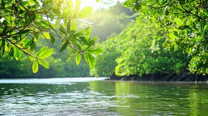 Serene Green River View