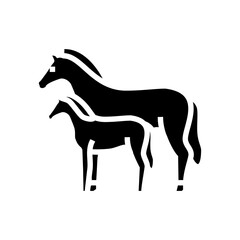foal horse breeding glyph icon vector illustration