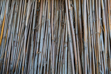 Texture of dried sedge plants.