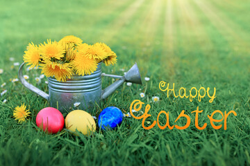 Easter eggs and watering can with dandelion flowers on green meadow.