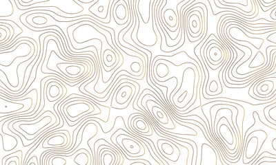 Obraz premium Modern design with White background with topographic wavy pattern design. Abstract gray topography contour map background design .