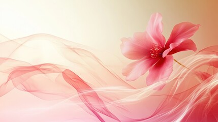 Fototapeta premium Delicate pink flower with flowing fabric