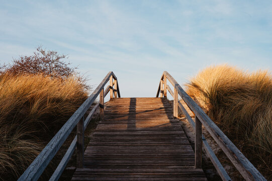 Wooden Boardwalk Path Through Coastal Dunes at Golden Hour