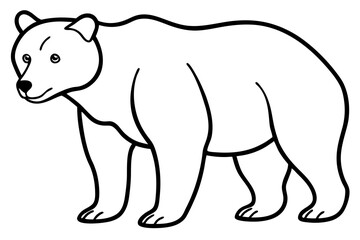 Minimalist Bear Line Art on White Background