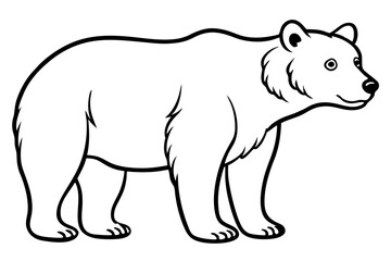 Minimalist Bear Line Art on White Background