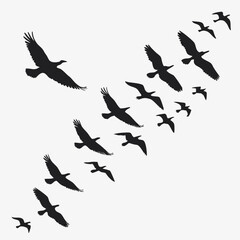 Black Silhouette Birds Flying in V Formation - Migrating Flock Vector Illustration Nature