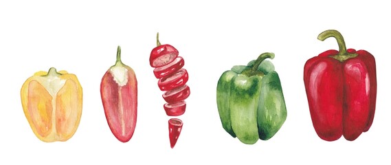 A set of watercolor multicolored  peppers