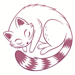 Cute Sleeping Cat Curled Up with Tail, Isolated on White Background