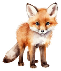 Obraz premium PNG Cute fox wildlife mammal animal.