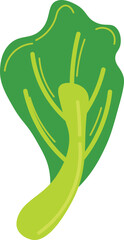 Illustration of Leafy Green Vegetable