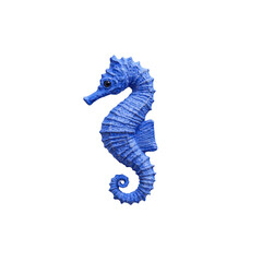 Fototapeta premium vibrant blue seahorse with intricate details stands out against transparency background, showcasing its unique texture and curled tail. seahorse eye is prominently visible, adding to its charm