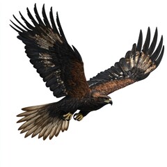 Eagle in flight, wildlife, nature, freedom, soaring, majestic, wilderness, white background, perfect for conservation posters