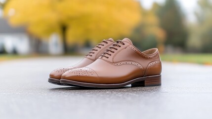 Classic brown leather oxford shoes on a wet asphalt road