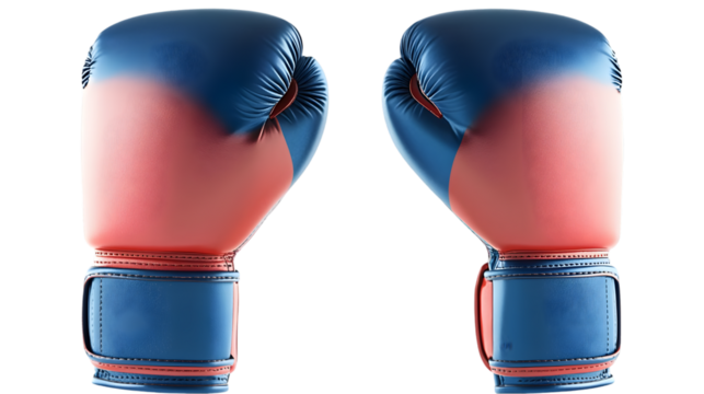 Boxing Gloves with Red Blue, and Fight.