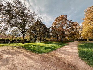 Park with a dirt road and trees