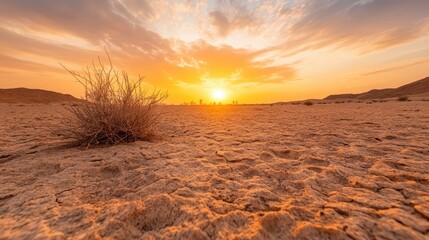 Fototapeta premium This enchanting desert scene at sunset captures sparse vegetation against a colorful sky, emphasizing the beauty and resilience of nature in harsh environments.