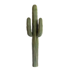 tall, green saguaro cactus with multiple arms stands isolated on transparency background, showcasing its iconic desert plant features