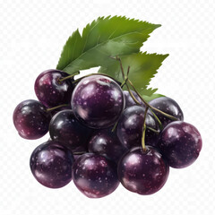 Fototapeta premium red grapes isolated on white background