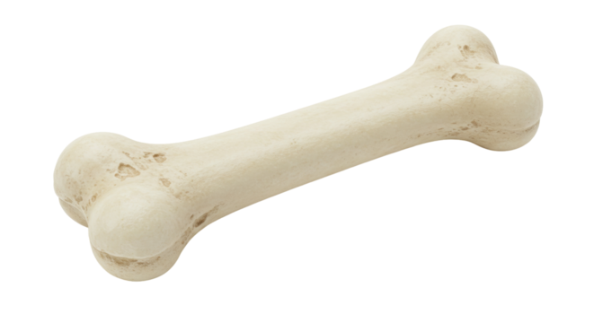 Isolated Dog Bone