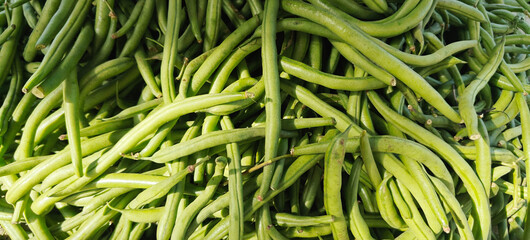 A pile of green bean open sell in Indian market.