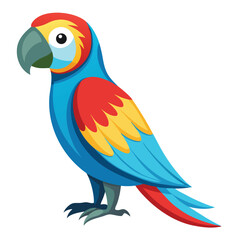 Parrot isolated on white background