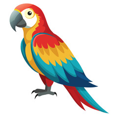 Parrot isolated on white background