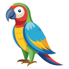 Parrot isolated on white background