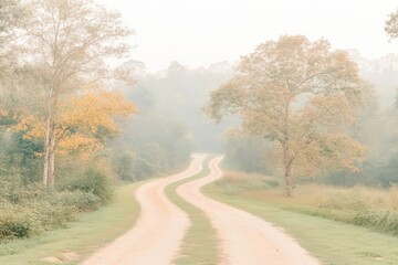 Fototapeta premium Misty forest road winding through trees