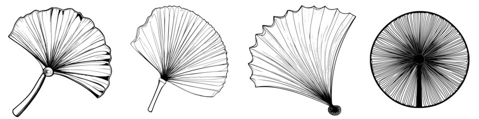 Detailed vector hand draw collection of different fan designs showcasing various shapes and styles suitable for art projects